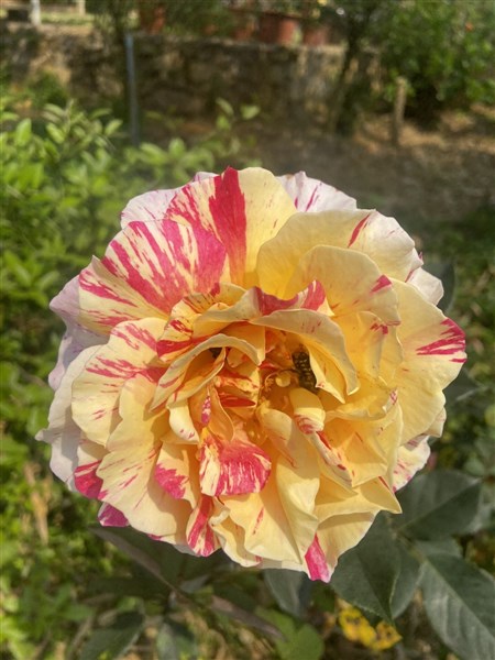 SỐ#28 - SỐNG CHẬM LẠI ĐỂ CẢM NHẬN VẺ ĐẸP CỦA CUỘC SỐNG