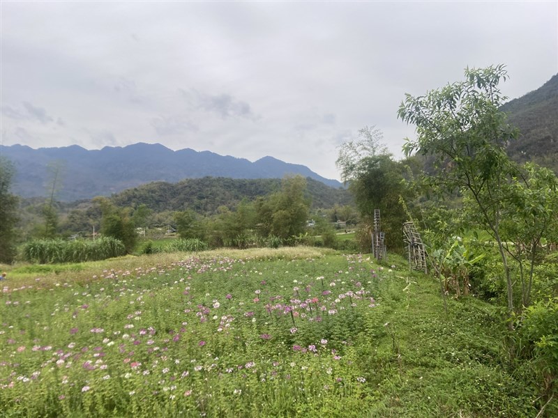 SỐ#32 - LỜI CẢM ƠN CHÂN THÀNH