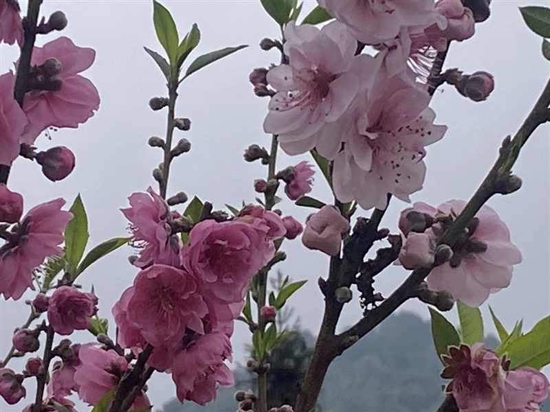 SỐ#36 - MỐI HÀNH VI ĐỀU CÓ CHỦ ĐÍCH TÍCH CỰC