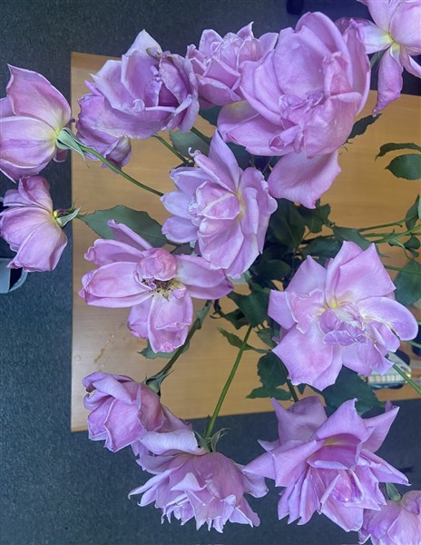 SỐ#38 - HIỆN THỰC KHÁCH QUAN – NHẬN THỨC LÀ TẤM GƯƠNG NỘI TÂM