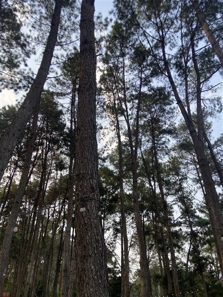 SỐ#40 - MUỐN HIỂU, HÃY HÀNH ĐỘNG