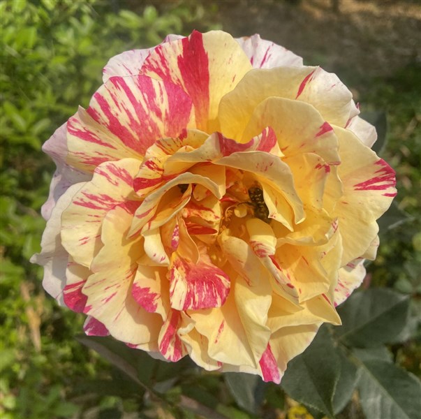 BỨC THƯ #3 - HIỂU GIÁ TRỊ BẢN THÂN VÀ MỤC TIÊU CUỘC SỐNG