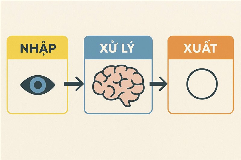 #4 - Tâm lý học nhận thức