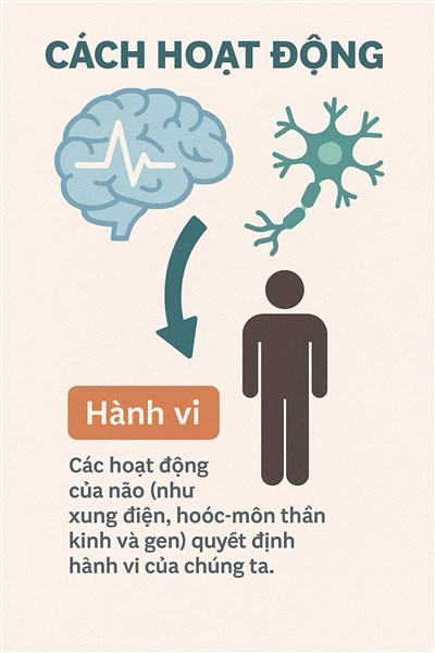 #5 – TÂM LÝ SINH HỌC